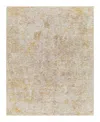 Livabliss Reina Ren-2310 7'10" X 10'3" Area Rug In Brown