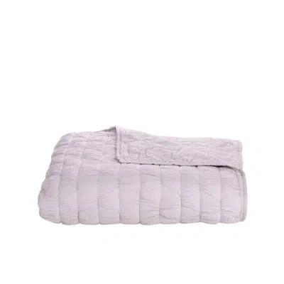 Livabliss Single Quilt In Pink