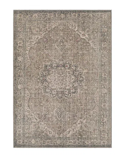 Livabliss Surya Colin Traditional Washable Rug In Gray