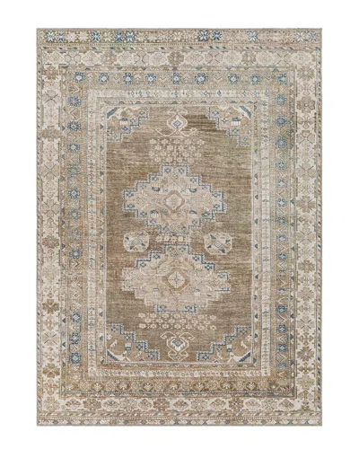 Livabliss Surya Colin Traditional Washable Rug In Brown