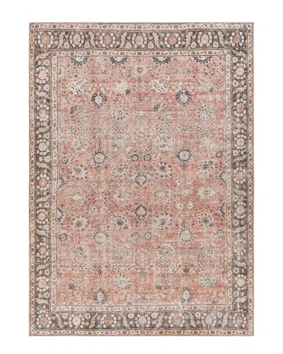 Livabliss Surya Colin Traditional Washable Rug In Orange