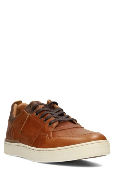 Liverpool La Launch Sneaker In Cognac