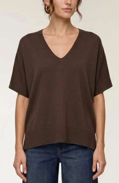 Liverpool Los Angeles V-neck Dolman Pullover In Brown