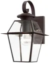 Livex Lighting 1-light Bronze Outdoor Wall Lantern In Gold
