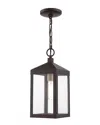 Livex Lighting 1-light Bronze With Antique Brass Cluser Outdoor Pendant Lantern In Bronze