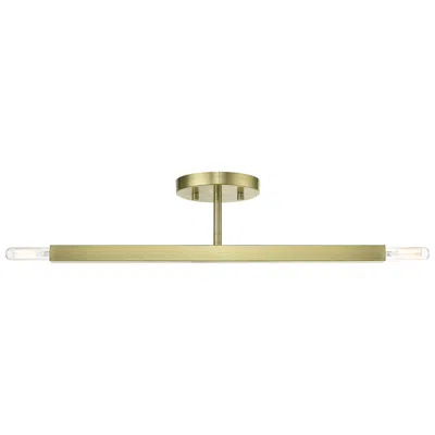 Livex Lighting 2 Light Antique Brass Semi-flush