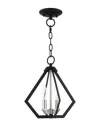 Livex Lighting 2-light Black With Brushed Nickel Cluster Convertible Semi Flush Pendant In Black