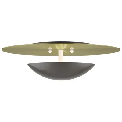 Livex Lighting 2 Light English Bronze Large Semi-flush With Antique Brass Backplate