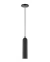 Livex Lighting Ardmore Black Pendant 1 In Black