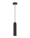 Livex Lighting Ardmore Black Pendant In Black