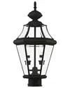 Livex Lighting Georgetown 2-light Black Outdoor Post Lantern