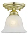Livex Lighting Livex Essex 1-light Polished Brass Ceiling Mount