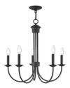 Livex Lighting Livex Estate 5 Light Bz Chandelier In Black