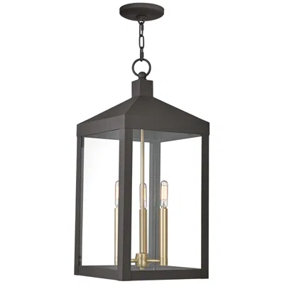 Livex Lighting Livex Nyack 24" High Bronze Outdoor Hanging Light