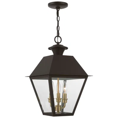 Livex Lighting Livex Wentworth 19"h Bronze And Brass Outdoor Hanging Light