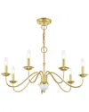 Livex Lighting Livex Windsor 7 Lt Polished Brass Chandelier