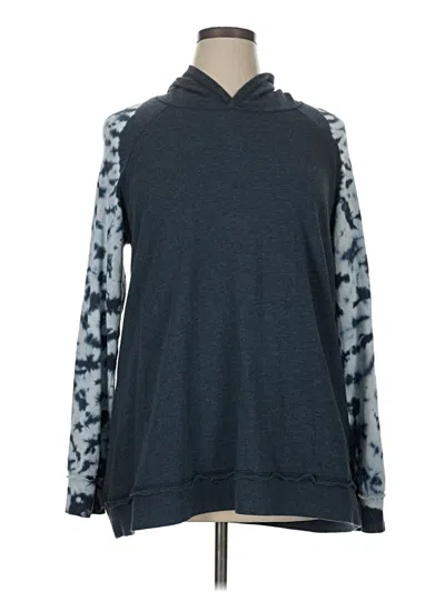 Pre-owned Livi Pullover Sweater In Blue