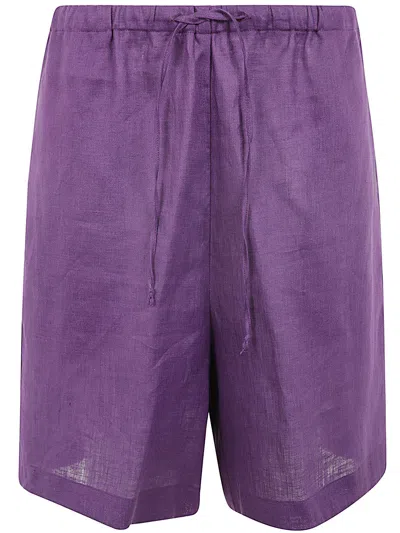 Liviana Conti Coulisse Shorts In Berry