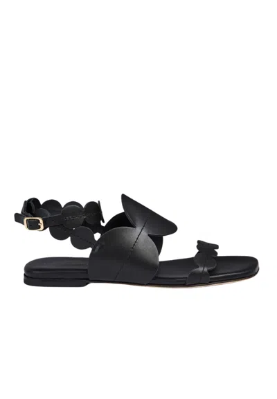 Liviana Conti Sandalo Woman  Flat Dots In Black