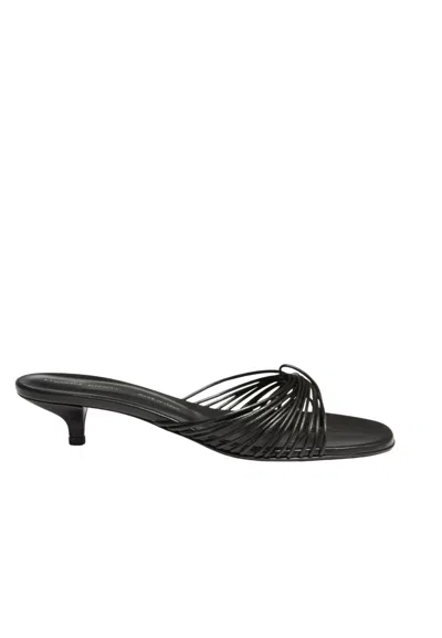 Liviana Conti Sandalwood Woman  With Tubular Nappa In Black