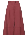 Liviana Conti Woman Pants Burgundy Size 8 Cotton, Polyamide, Elastane In Red