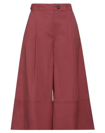 Liviana Conti Woman Pants Burgundy Size 8 Cotton, Polyamide, Elastane In Red