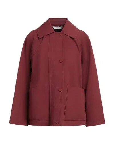 Liviana Conti Woman Jacket Garnet Size 6 Viscose, Polyamide, Elastane, Polyester In Brown