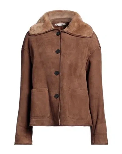 Liviana Conti Woman Jacket Khaki Size 12 Shearling In Brown