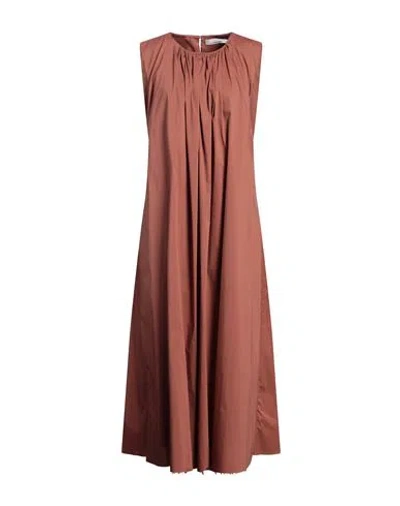 Liviana Conti Woman Midi Dress Brown Size 12 Cotton, Polyamide, Elastane