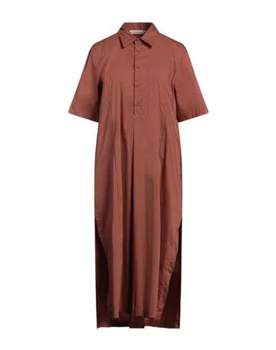 Liviana Conti Woman Midi Dress Brown Size 4 Cotton, Polyamide, Elastane