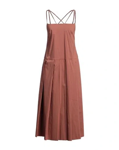 Liviana Conti Woman Midi Dress Brown Size 6 Cotton, Polyamide, Elastane
