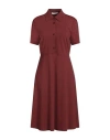 Liviana Conti Woman Midi Dress Brown Size 6 Viscose, Polyamide, Elastane In Brown