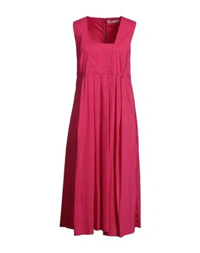 Liviana Conti Woman Midi Dress Fuchsia Size 10 Cotton, Polyamide, Elastane In Pink