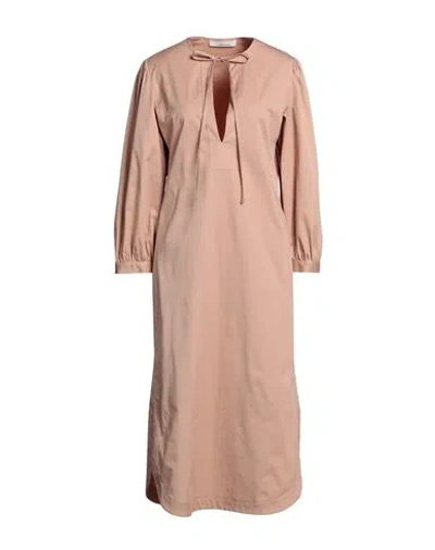 Liviana Conti Woman Midi Dress Light Brown Size 6 Cotton, Elastane In Beige
