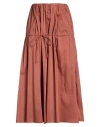 Liviana Conti Woman Midi Skirt Light Brown Size 12 Cotton, Polyamide, Elastane In Brown