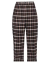 Liviana Conti Woman Pants Dark Brown Size 6 Cotton, Polyester, Elastane In Brown
