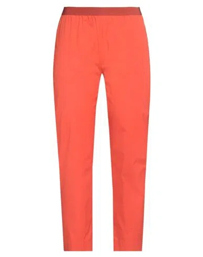 Liviana Conti Woman Pants Orange Size 4 Cotton, Polyamide, Elastane