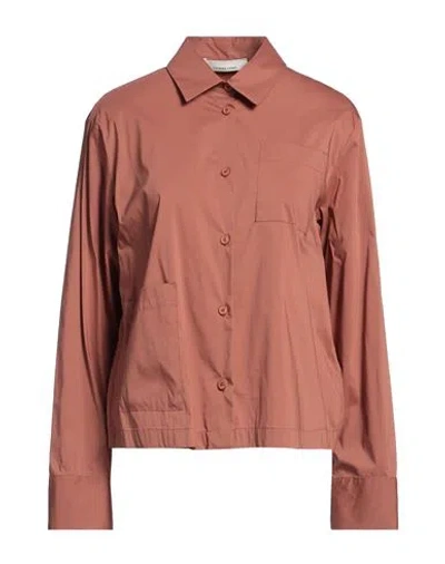 Liviana Conti Woman Shirt Brown Size 6 Cotton, Polyamide, Elastane