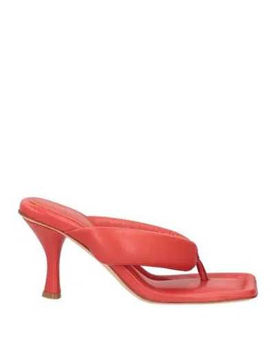 Liviana Conti Woman Thong Sandal Coral Size 8 Leather In Red