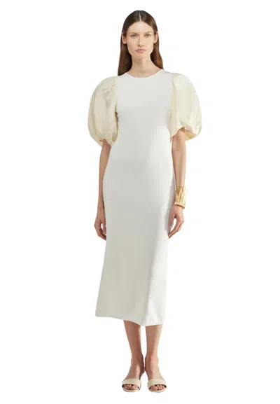 Liviana Conti Women's Dress  Smooth Sleeve In White