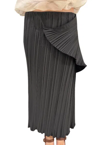 Liviana Conti Women's Skirt  Plisetta Effect In Brown