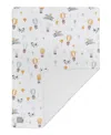 Living Textiles Baby Boys Jersey Sherpa Blanket In Multicolor