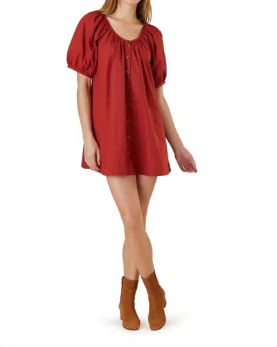 Livro Day Dress In Spice In White