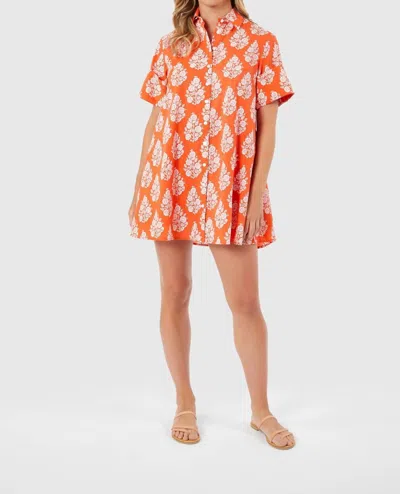 Livro Dock Mini Dress In Flower Bunch