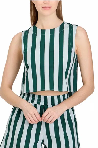 Livro Dunlin Stripes Top In Green