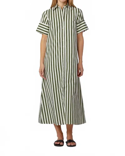 Livro Gibbons Short Sleeve Dress In Chive Stripe In Green