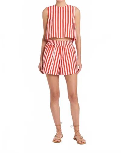 Livro Pool Shorts In Red Stripes In Multi
