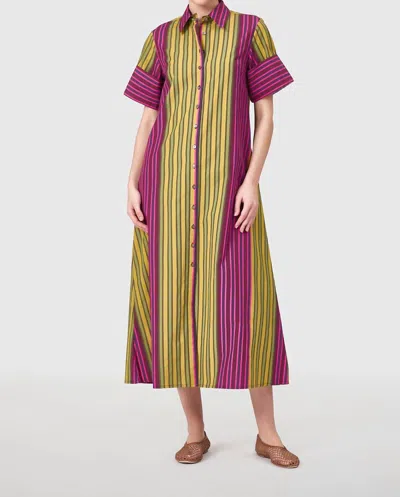 Livro Women's Gibbons Dress In Wildberry Stripes In Multi