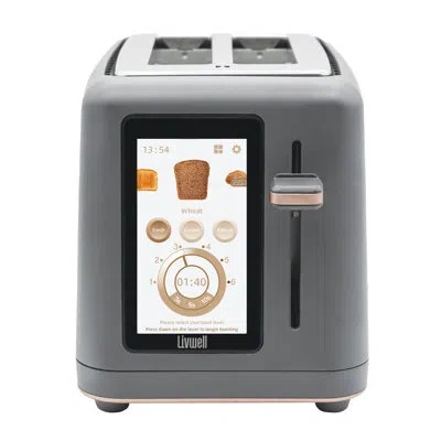 Livwell Touch Iq Matte Grey 2-slice Toaster In Gray