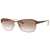 Liz Claiborne Brown Gradient Cat Eye Ladies Sunglasses L 577/s 009q/ha 56 In Brown